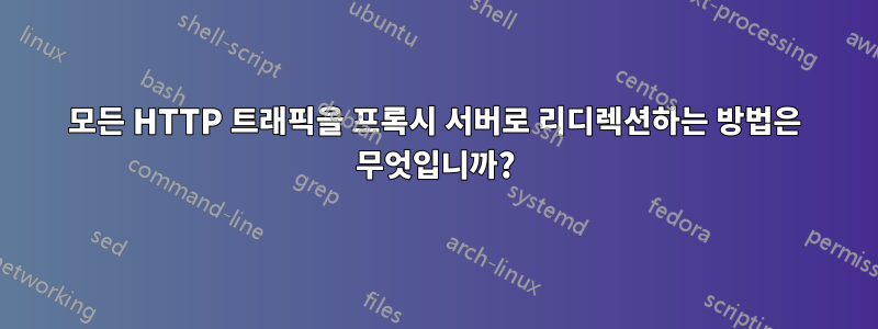 모든 HTTP 트래픽을 프록시 서버로 리디렉션하는 방법은 무엇입니까?