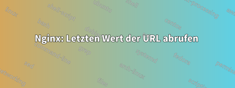 Nginx: Letzten Wert der URL abrufen