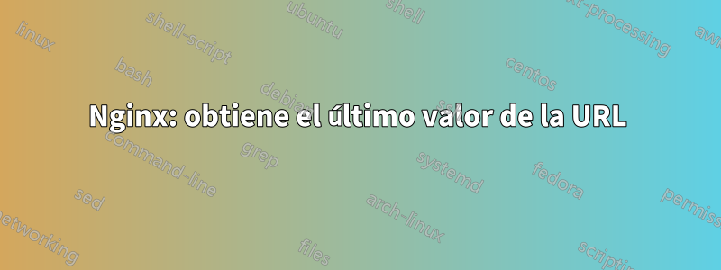 Nginx: obtiene el último valor de la URL