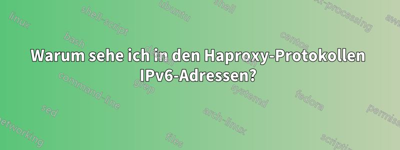 Warum sehe ich in den Haproxy-Protokollen IPv6-Adressen?