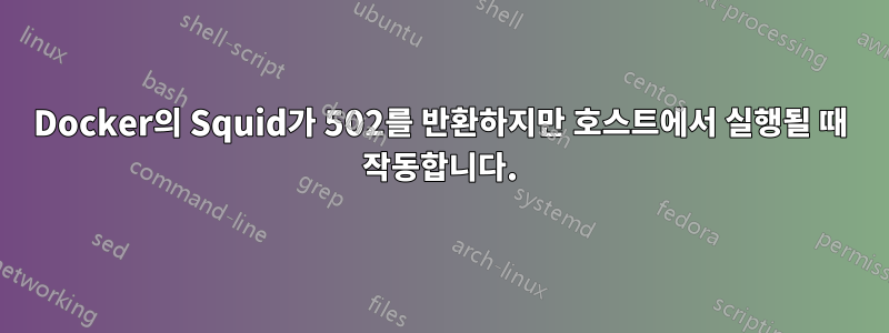 Docker의 Squid가 502를 반환하지만 호스트에서 실행될 때 작동합니다.