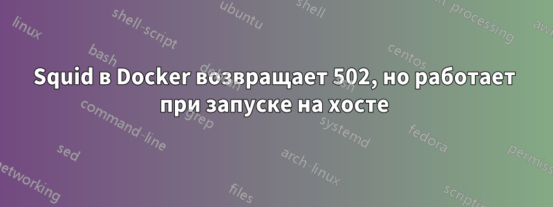 Squid в Docker возвращает 502, но работает при запуске на хосте