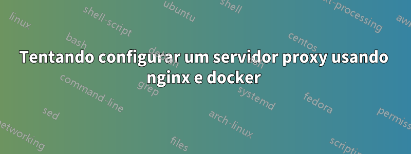 Tentando configurar um servidor proxy usando nginx e docker