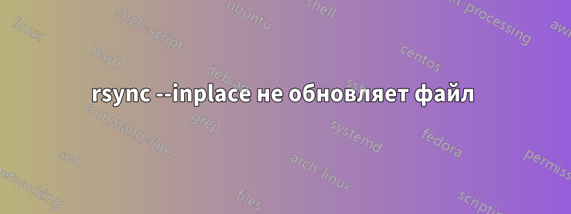 rsync --inplace не обновляет файл