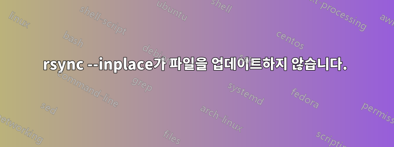 rsync --inplace가 파일을 업데이트하지 않습니다.