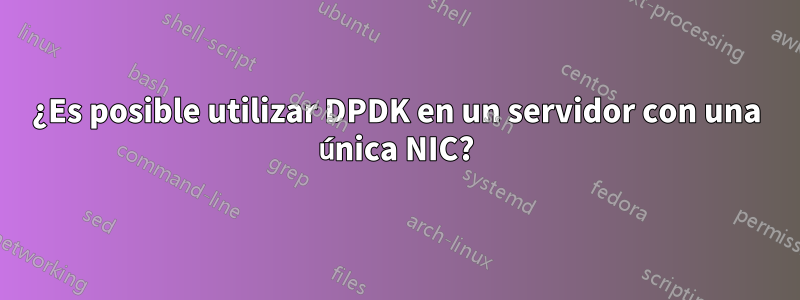 ¿Es posible utilizar DPDK en un servidor con una única NIC?