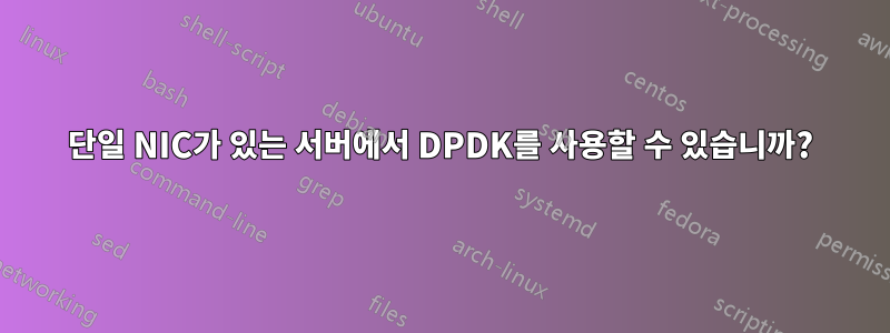 단일 NIC가 있는 서버에서 DPDK를 사용할 수 있습니까?