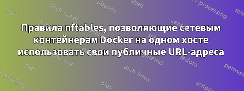 Правила nftables, позволяющие сетевым контейнерам Docker на одном хосте использовать свои публичные URL-адреса