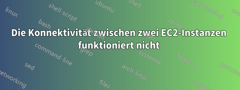 Die Konnektivität zwischen zwei EC2-Instanzen funktioniert nicht