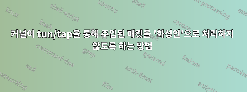 커널이 tun/tap을 통해 주입된 패킷을 '화성인'으로 처리하지 않도록 하는 방법