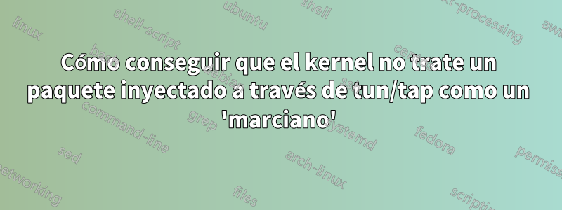 Cómo conseguir que el kernel no trate un paquete inyectado a través de tun/tap como un 'marciano'