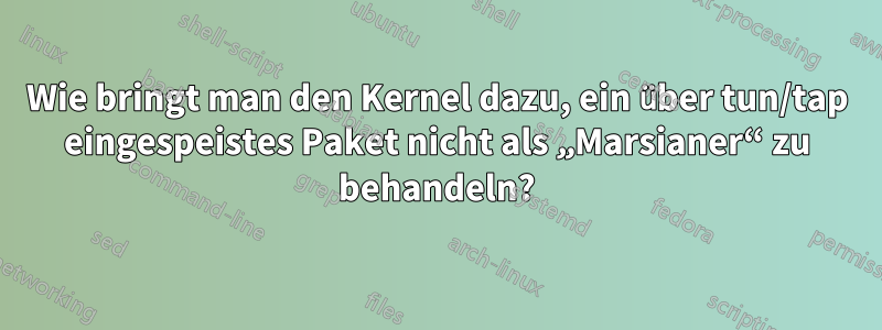 Wie bringt man den Kernel dazu, ein über tun/tap eingespeistes Paket nicht als „Marsianer“ zu behandeln?