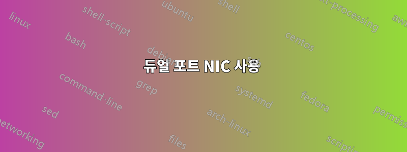 듀얼 포트 NIC 사용