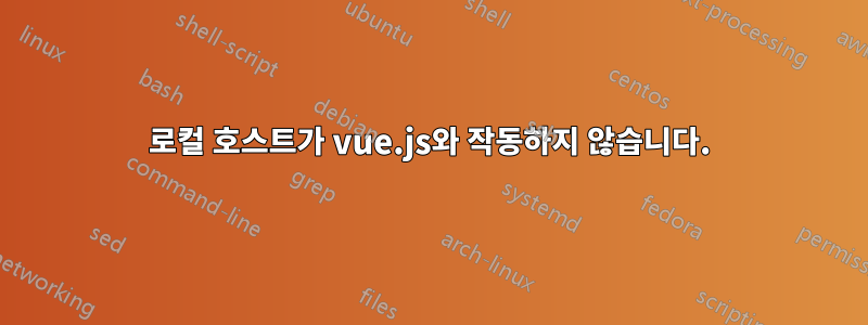 로컬 호스트가 vue.js와 작동하지 않습니다.