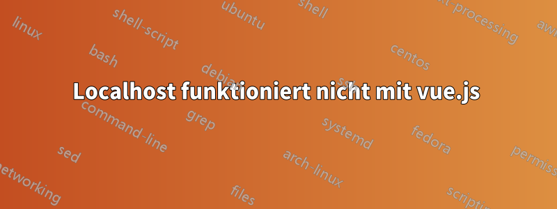 Localhost funktioniert nicht mit vue.js