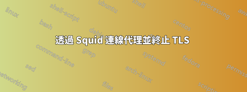 透過 Squid 連線代理並終止 TLS