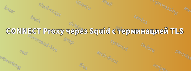 CONNECT Proxy через Squid с терминацией TLS