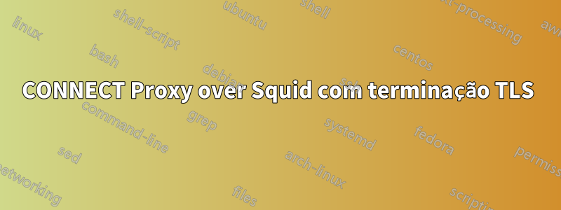 CONNECT Proxy over Squid com terminação TLS