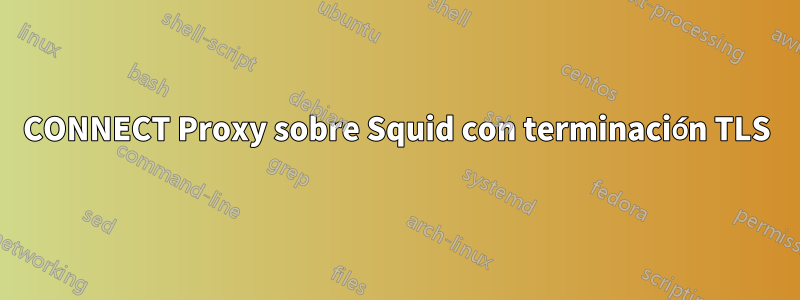 CONNECT Proxy sobre Squid con terminación TLS