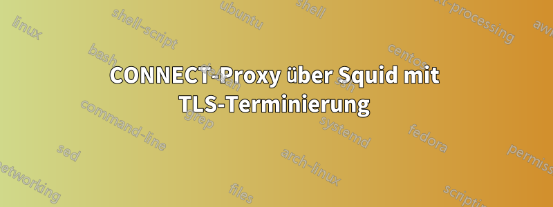 CONNECT-Proxy über Squid mit TLS-Terminierung