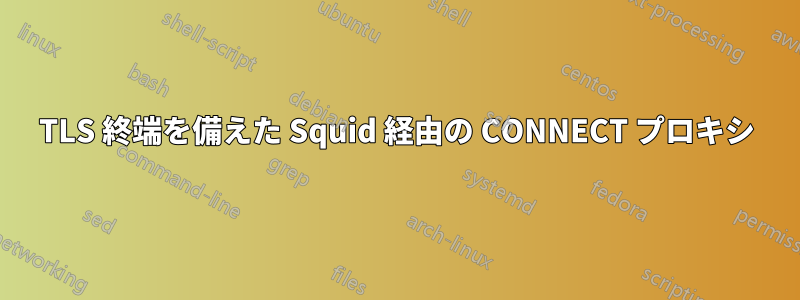 TLS 終端を備えた Squid 経由の CONNECT プロキシ