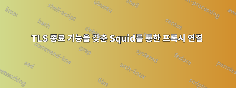 TLS 종료 기능을 갖춘 Squid를 통한 프록시 연결