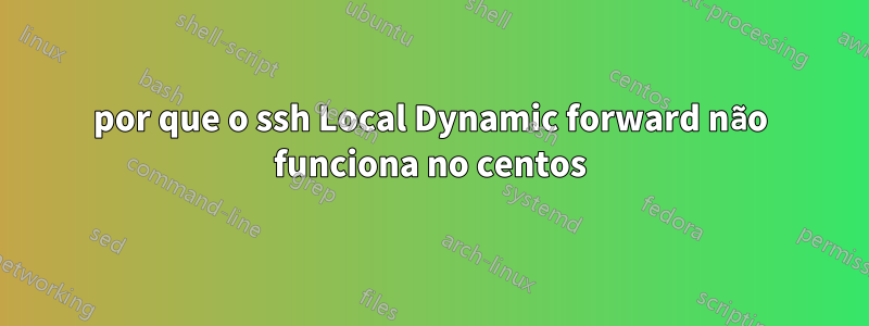 por que o ssh Local Dynamic forward não funciona no centos