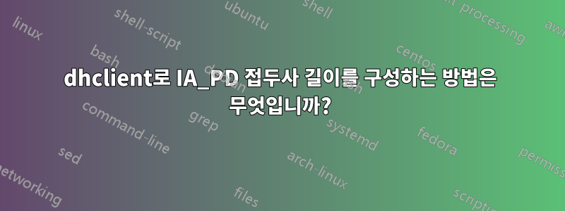 dhclient로 IA_PD 접두사 길이를 구성하는 방법은 무엇입니까?