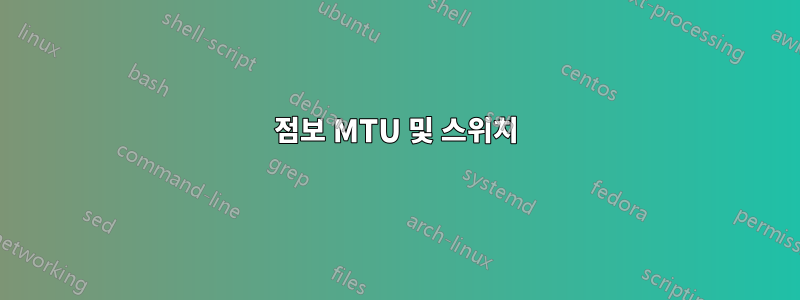 점보 MTU 및 스위치