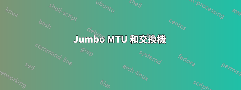 Jumbo MTU 和交換機