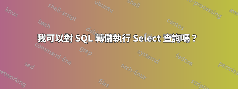 我可以對 SQL 轉儲執行 Select 查詢嗎？