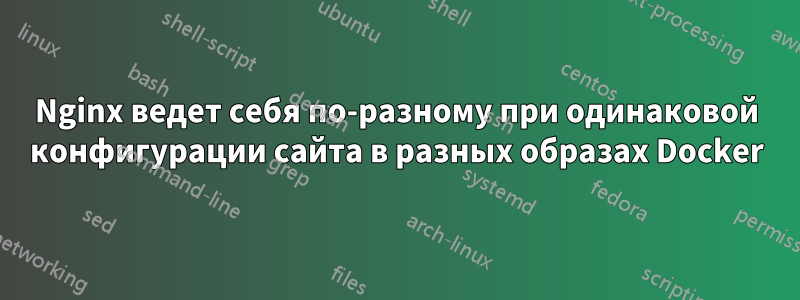 Nginx ведет себя по-разному при одинаковой конфигурации сайта в разных образах Docker