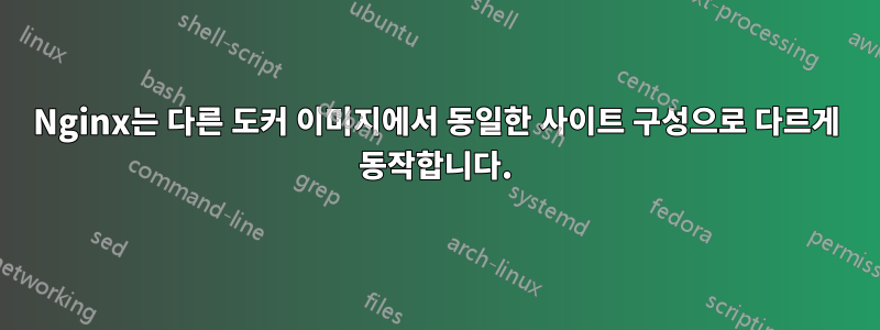 Nginx는 다른 도커 이미지에서 동일한 사이트 구성으로 다르게 동작합니다.