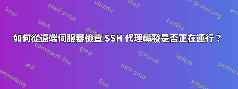 如何從遠端伺服器檢查 SSH 代理轉發是否正在運行？