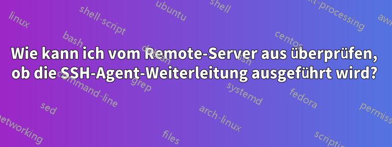 Wie kann ich vom Remote-Server aus überprüfen, ob die SSH-Agent-Weiterleitung ausgeführt wird?