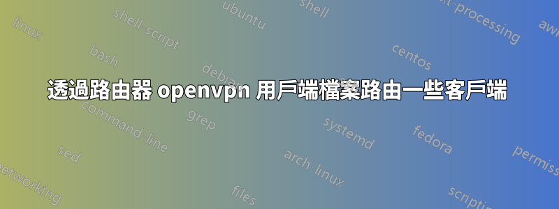 透過路由器 openvpn 用戶端檔案路由一些客戶端