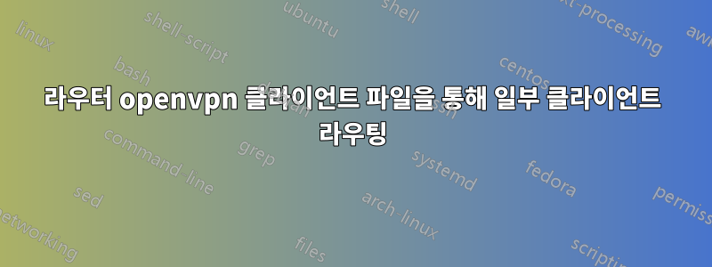 라우터 openvpn 클라이언트 파일을 통해 일부 클라이언트 라우팅