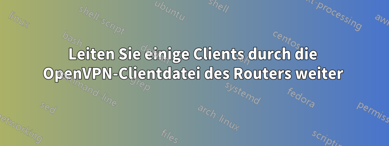 Leiten Sie einige Clients durch die OpenVPN-Clientdatei des Routers weiter