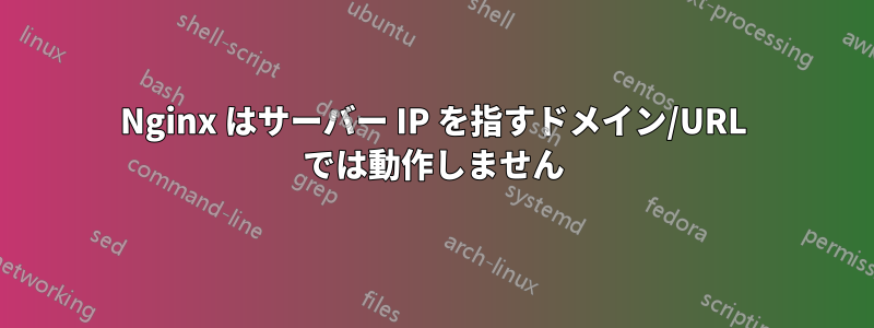 Nginx はサーバー IP を指すドメイン/URL では動作しません