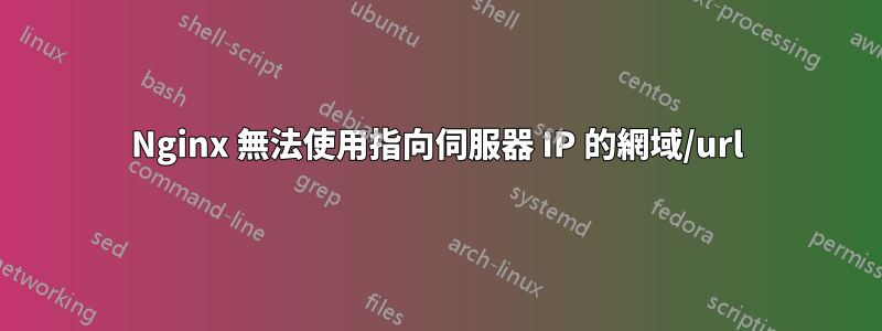 Nginx 無法使用指向伺服器 IP 的網域/url