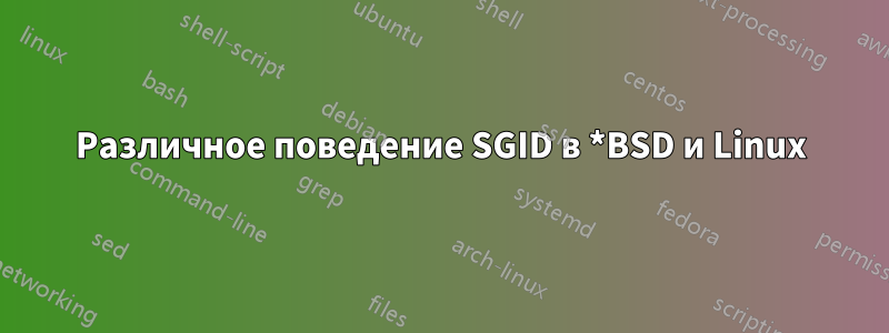 Различное поведение SGID в *BSD и Linux