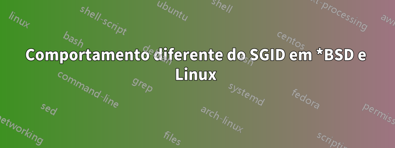 Comportamento diferente do SGID em *BSD e Linux