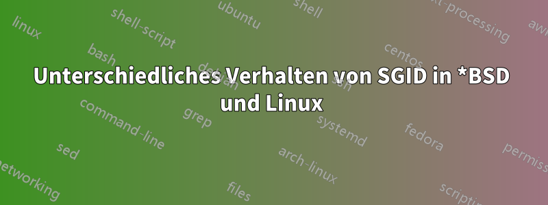 Unterschiedliches Verhalten von SGID in *BSD und Linux