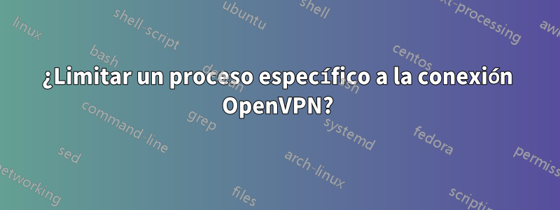 ¿Limitar un proceso específico a la conexión OpenVPN?