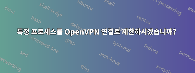 특정 프로세스를 OpenVPN 연결로 제한하시겠습니까?