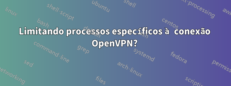 Limitando processos específicos à conexão OpenVPN?