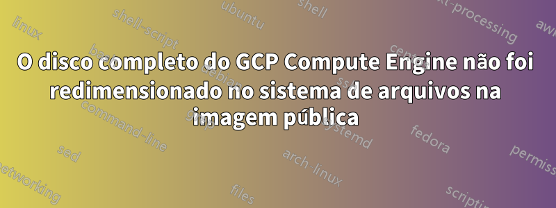 O disco completo do GCP Compute Engine não foi redimensionado no sistema de arquivos na imagem pública