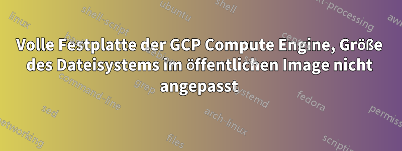 Volle Festplatte der GCP Compute Engine, Größe des Dateisystems im öffentlichen Image nicht angepasst