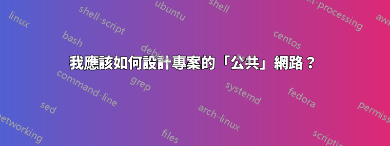 我應該如何設計專案的「公共」網路？