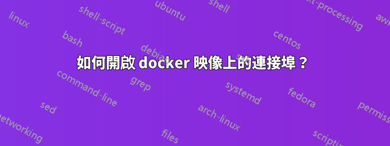 如何開啟 docker 映像上的連接埠？